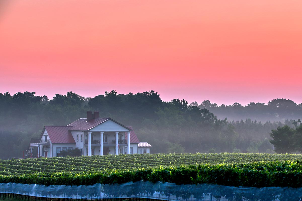 Sunrise over Rosemont winery Wednesday morning August 25, 2021.